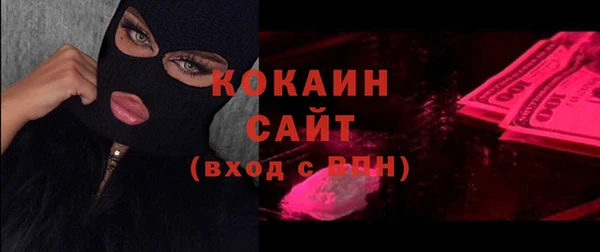 тгк Бородино