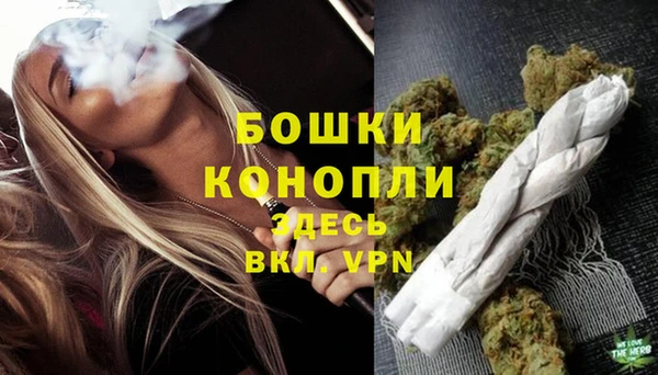 тгк Бородино