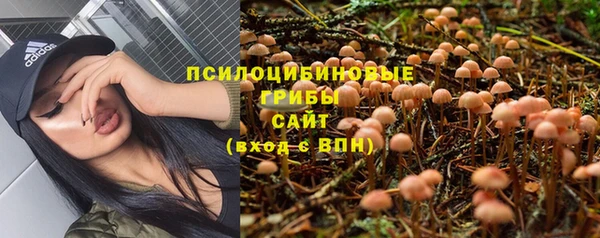 тгк Бородино