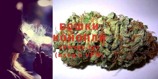 СК Бронницы