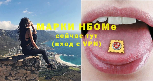 СК Бронницы