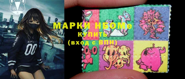 СК Бронницы