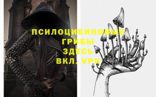 тгк Бородино