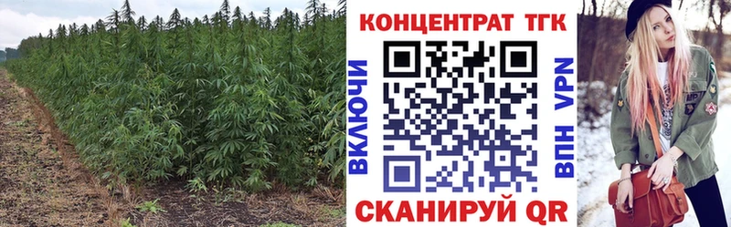 Дистиллят ТГК Wax  Славянск-на-Кубани 