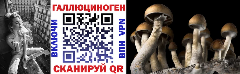 Псилоцибиновые грибы Psilocybe OMG как войти Славянск-на-Кубани купить